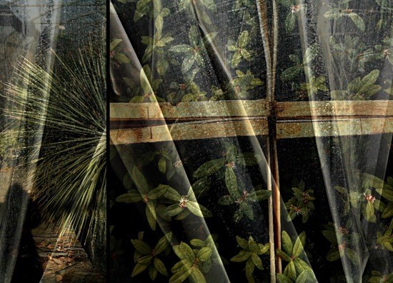 autor : Raoul Iacometti                    t&iacute;tulo: Greenhouse 2008