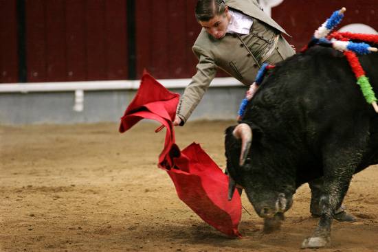 autor: Sofia Quintas