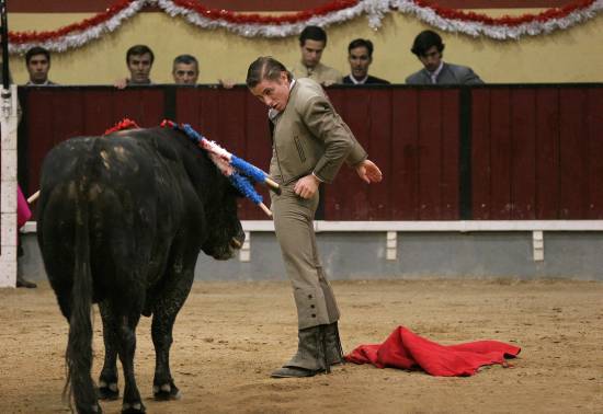 autor: Sofia Quintas