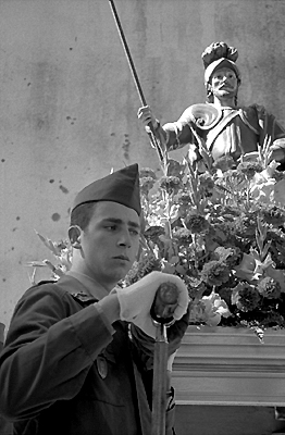 auteur: Sofia Quintas