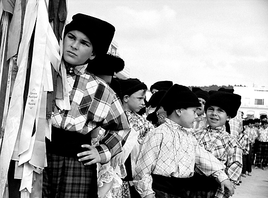 autor: Sofia Quintas