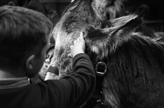 autor: paulo rodrigues