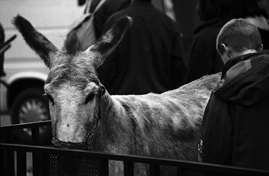 autor: paulo rodrigues