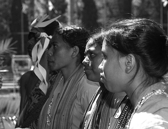 auteur: João Varela
titre: Contemplação