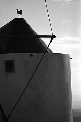 autor: Sofia Quintas