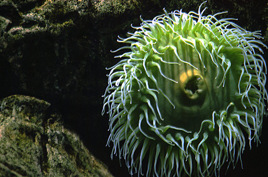 autor: Sofia Quintas