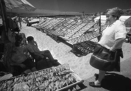 author: Manuel Luís Cochofel