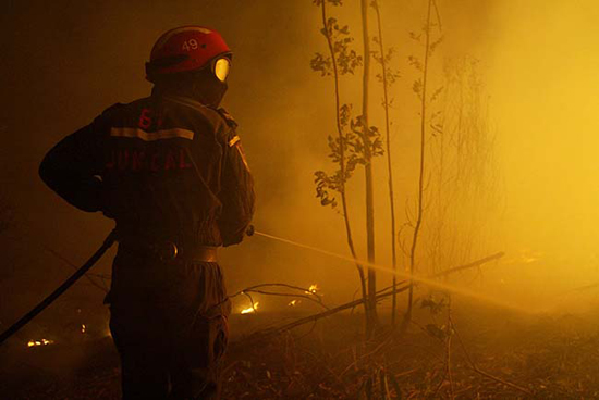 autor: João  Carvalho Pina