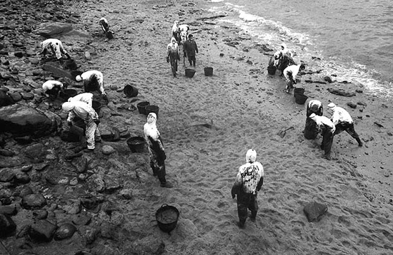 autor: João  Carvalho Pina