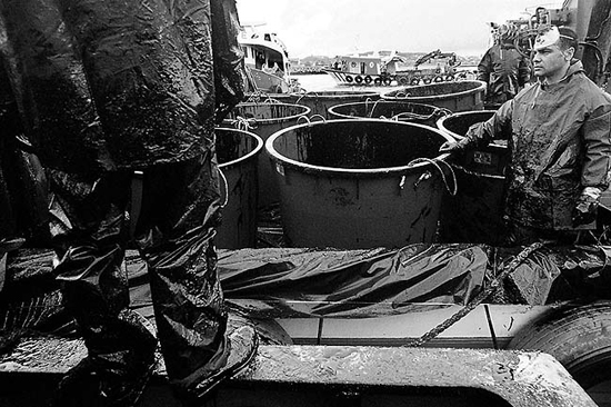 autor: João  Carvalho Pina