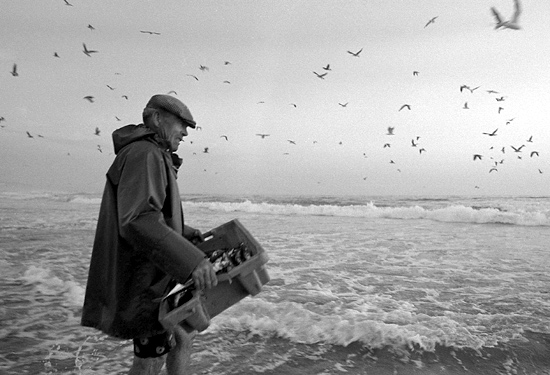 auteur : João Varela                    