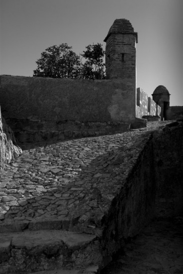 autor: paulo rodrigues