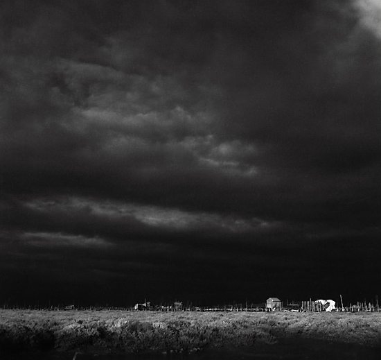 autor: Manuel Luís Cochofel