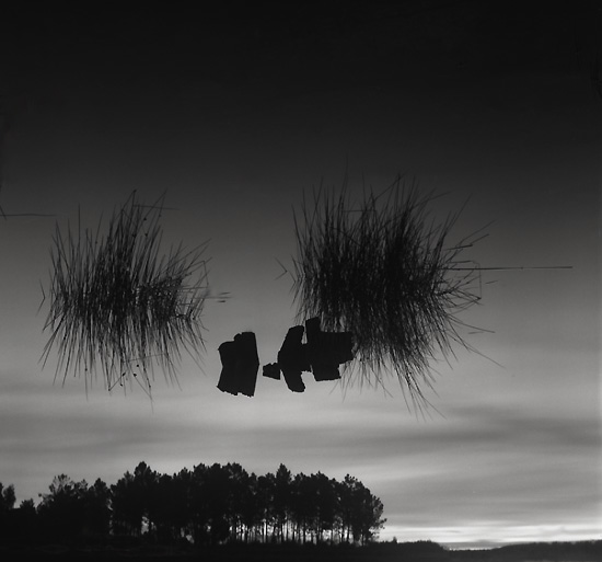 autor: Manuel Luís Cochofel