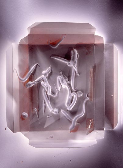 autor: Jeremy Webb
t&iacute;tulo: toothpaste/flat box