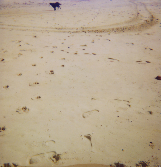 autor: paulo rodrigues