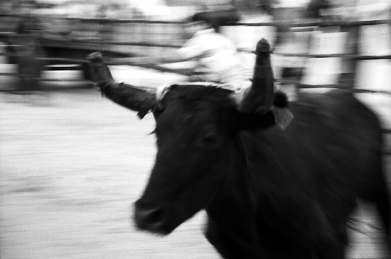 autor: Sofia Quintas