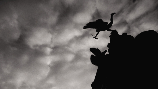 autor: Manuel Luís Cochofel