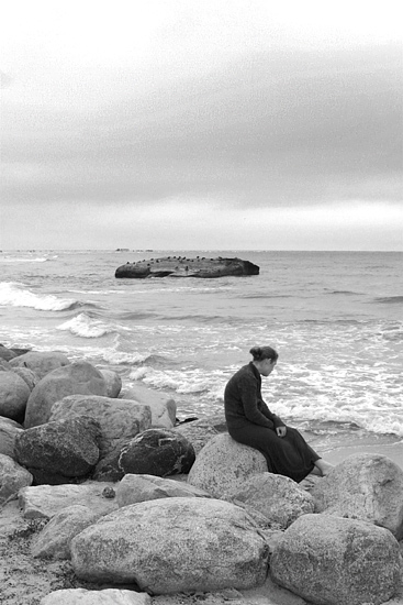 autor: Daniel Navarro