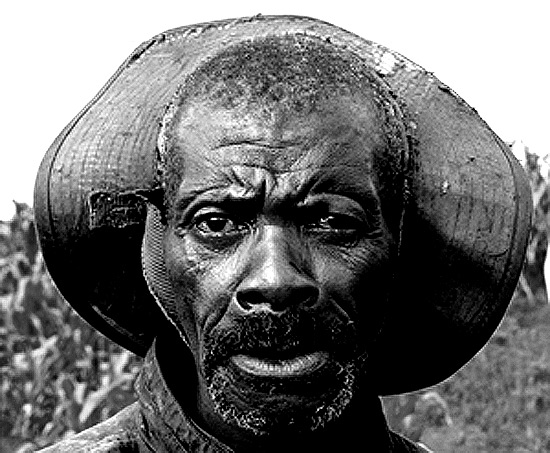 autor: José Silva Pinto
t&iacute;tulo: Sr. Felizberto