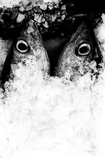 autor: Txomin  Txueka