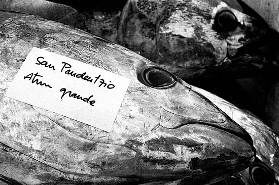 autor: Txomin  Txueka