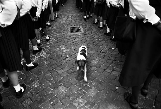 autor: Sofia Quintas