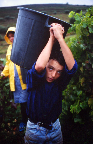 autor: José Gonçalves
t&iacute;tulo: Douro 2