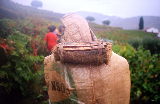 autor: José Gonçalves
t&iacute;tulo: Douro 10