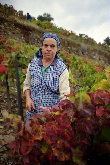 autor: José Gonçalves
t&iacute;tulo: Douro 15