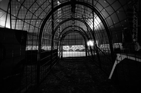 autor: paulo rodrigues