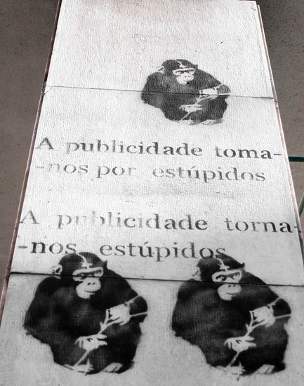 autor: Sofia Quintas