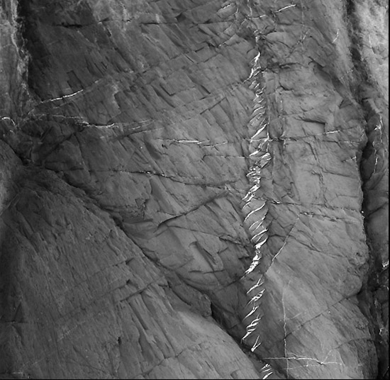 autor: Manuel Luís Cochofel