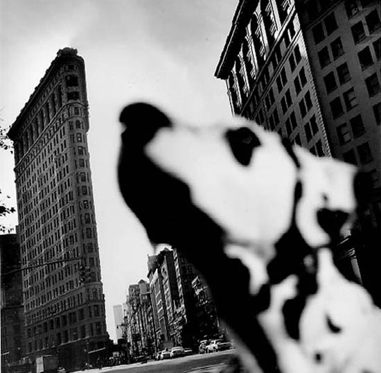 autor: Cláudio Edinger
t&iacute;tulo: Flatiron