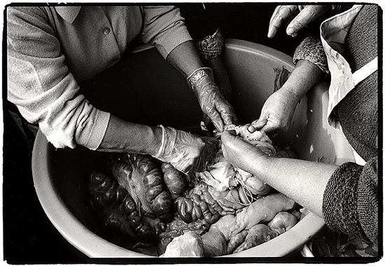 autor: Stefan Rohner
t&iacute;tulo: 11