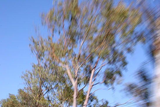 author : Sofia Quintas                    