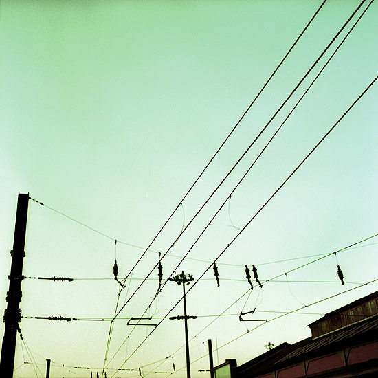 autor: Catarina Costa Cabral