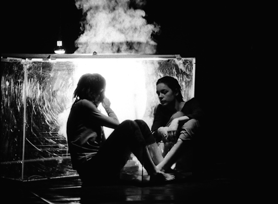 autor: Manuel Luís Cochofel