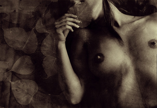 autor: Lilya Corneli