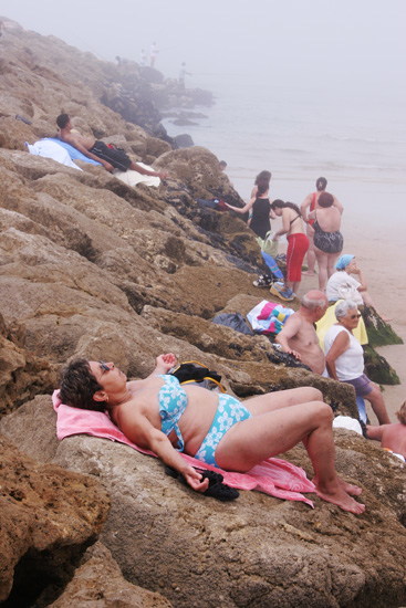 autor: Sofia Quintas