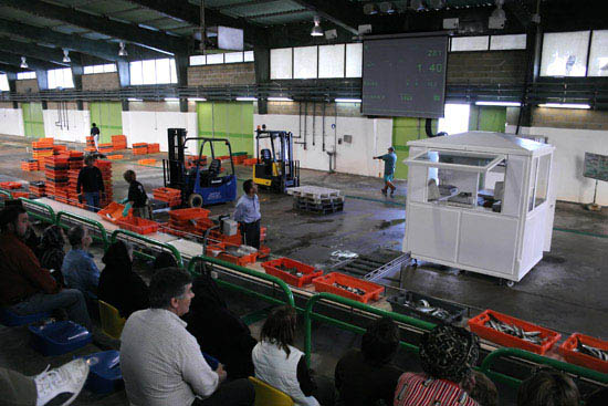 autor: Sofia Quintas