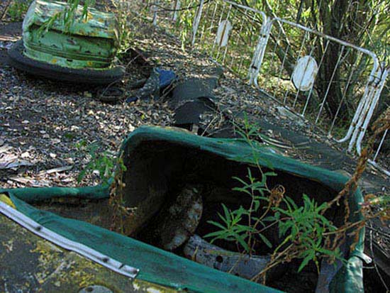 autor: Alain-Gilles Bastide