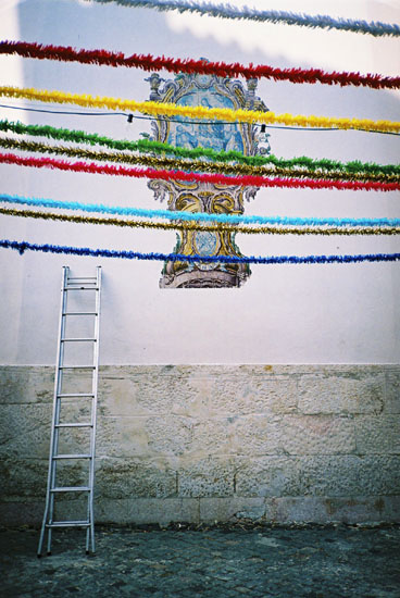 autor : José Gonçalves                    