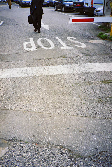 autor: José Gonçalves