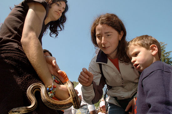 auteur: Patricia Moreira