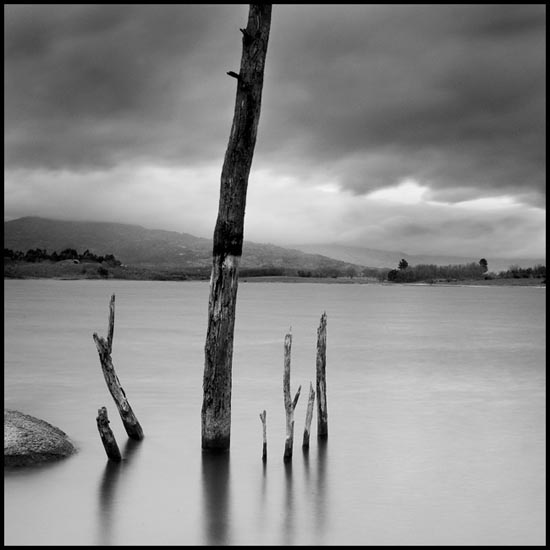 autor: Carlos Matos
t&iacute;tulo: estruturas&coberturas-VI