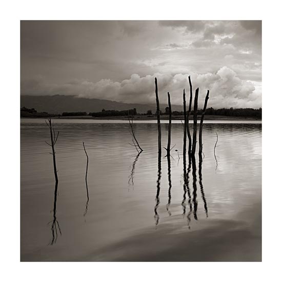 autor: Carlos Matos
t&iacute;tulo: estruturas&coberturas-XXVI