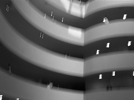 autor: Manuel Luís Cochofel