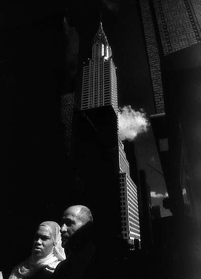 autor: Manuel Luís Cochofel