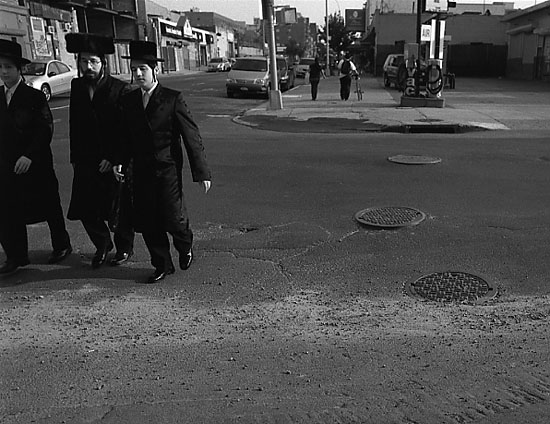 autor: Manuel Luís Cochofel